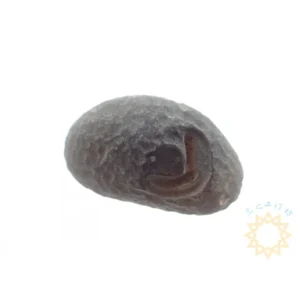 超光如意宝珠7~11.9g