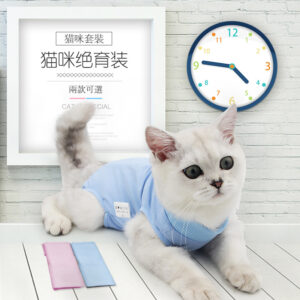 猫咪绝育装：让健康呵护成为1种习惯。Cat Sterilization Suit: Make Health Care a Habit.