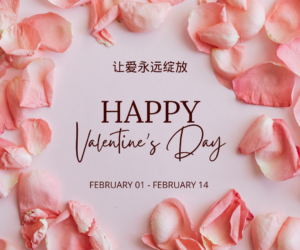 情人节特惠：Amicora打折大放送，15%优惠等您抢购！