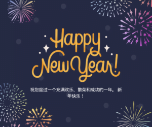 🎉🛍️ 狂欢元旦！高达15%折扣，Amicora商城等您来购！ 🎉🛍️