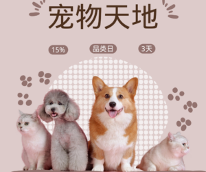 🌟🐾 宠物世界：狂欢开始！15% OFF 三日疯狂！ 🐾🌟
