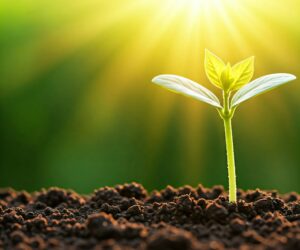 每天进步一点点，今天你做了什么？